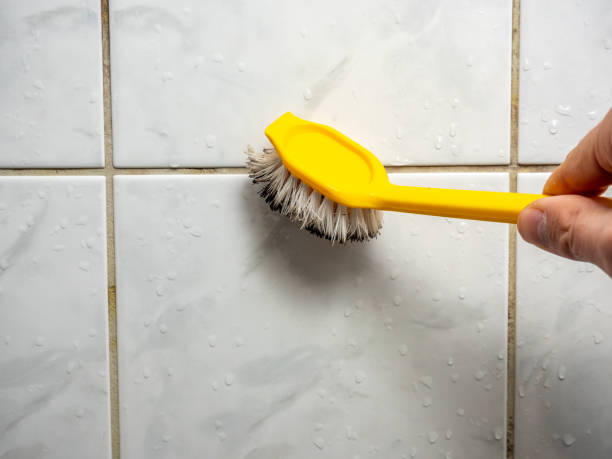 Best Professional Mold Removal  in Estelle, LA