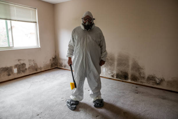 Best Affordable Mold Removal  in Estelle, LA