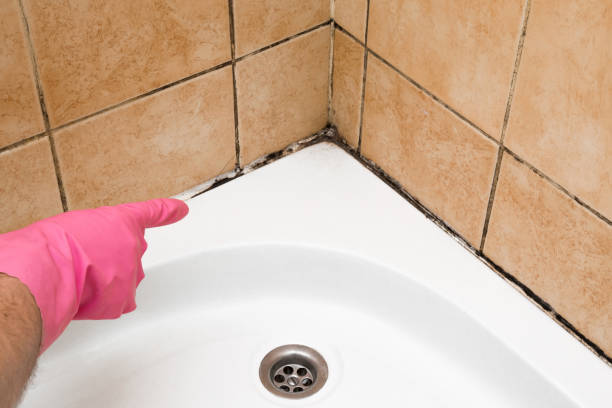 Best Mold Remediation Experts  in Estelle, LA